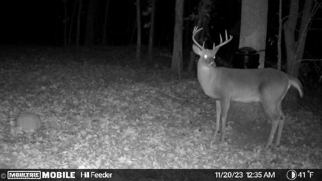 3760 Regan Road Denton, NC 27239 - Photo 36 of 45 Gallery Image 36