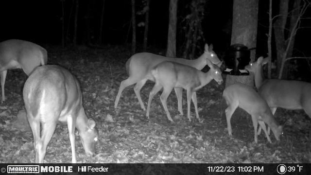 3760 Regan Road Denton, NC 27239 - Photo 37 of 45 Gallery Image 37