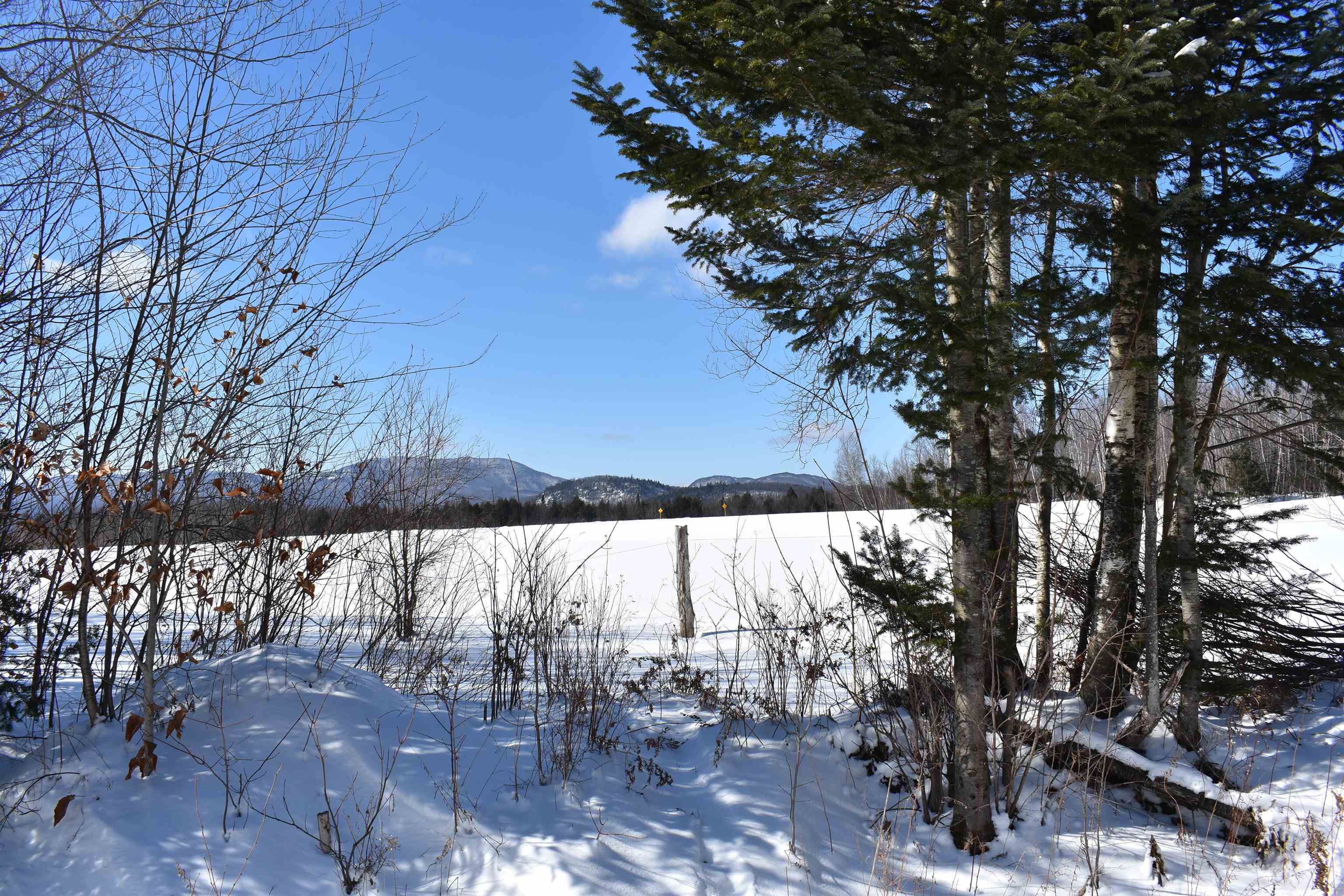 Blodgett Road Lowell, VT 05847 - Photo 2 of 5