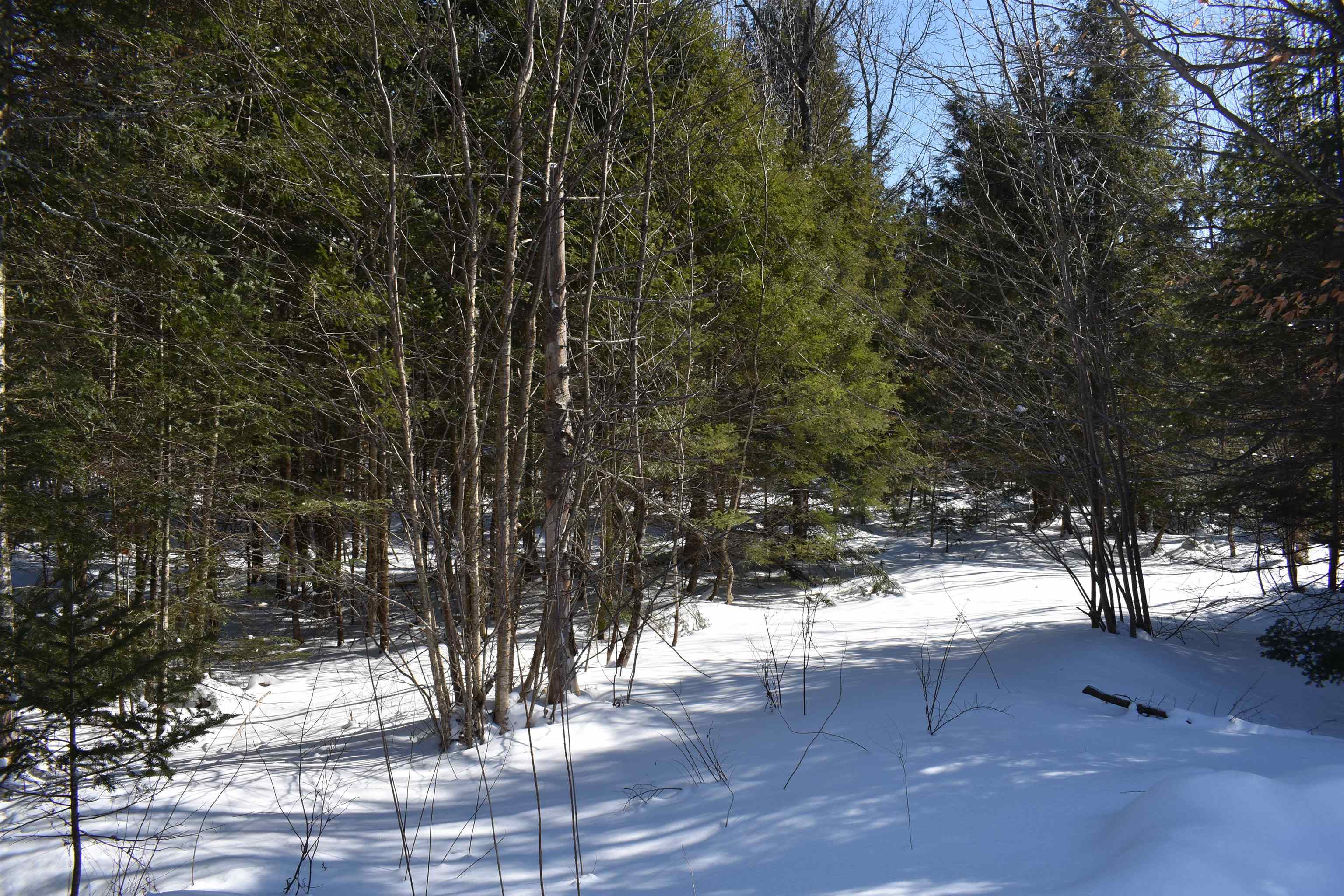 Blodgett Road Lowell, VT 05847 - Photo 3 of 5