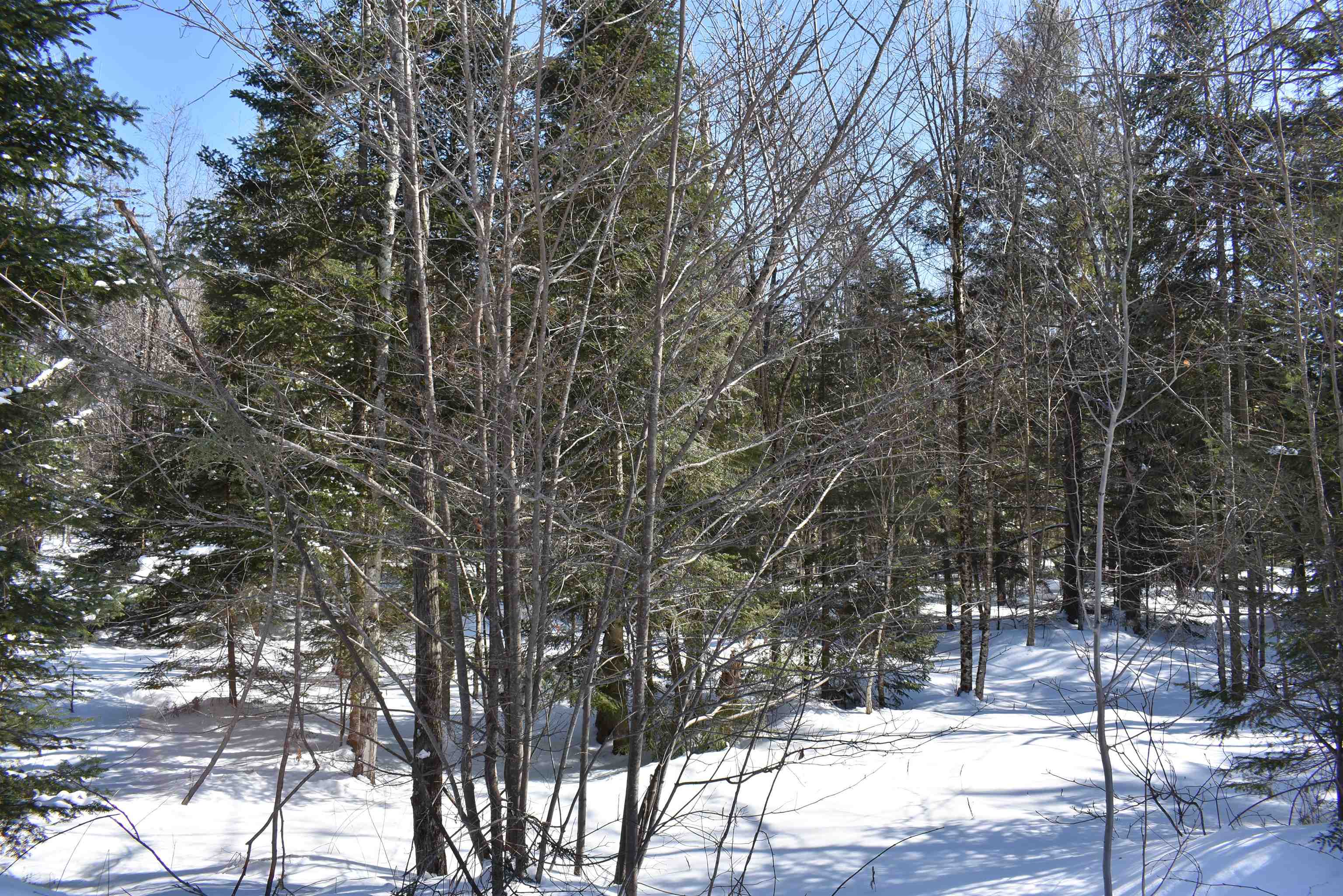Blodgett Road Lowell, VT 05847 - Photo 4 of 5