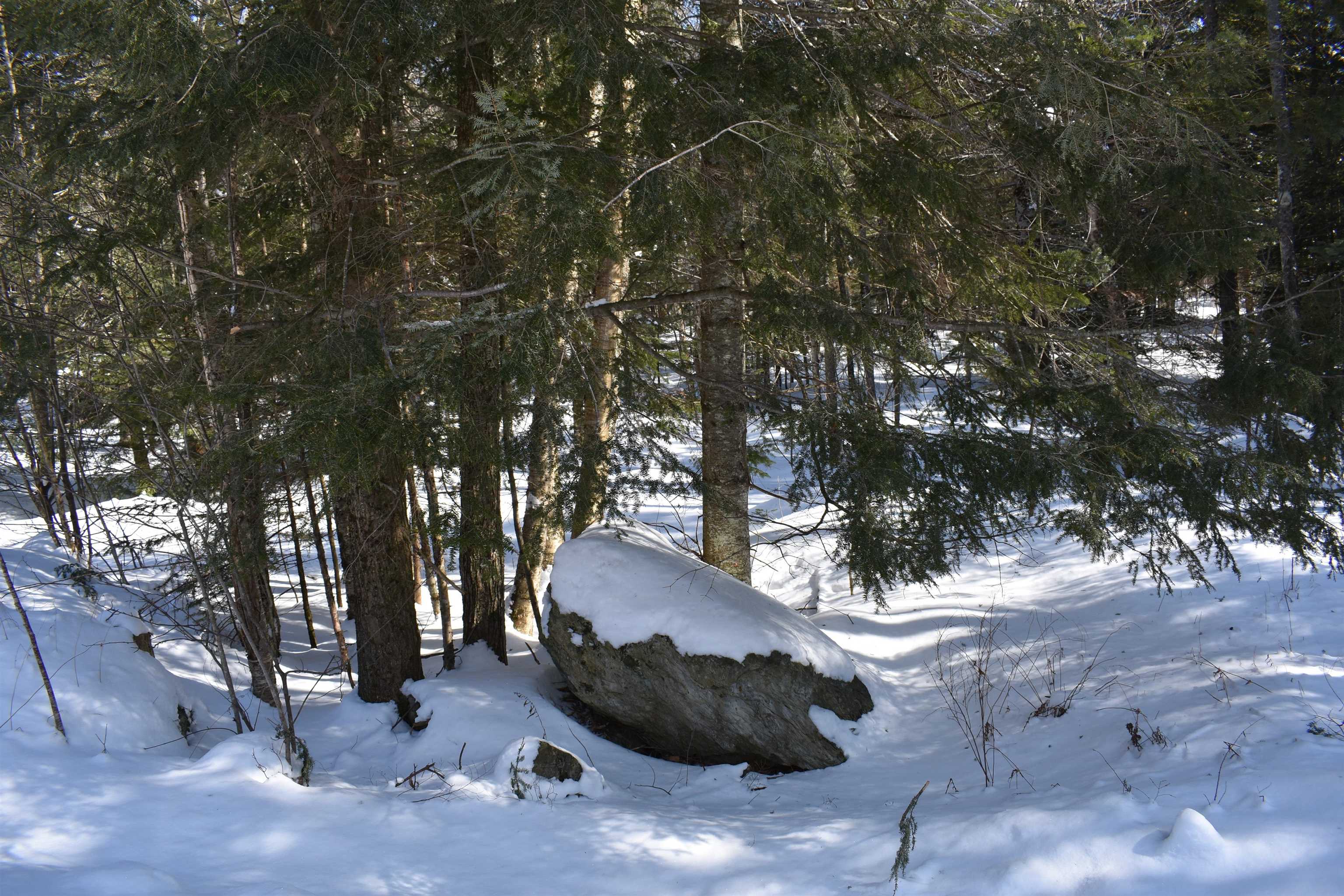 Blodgett Road Lowell, VT 05847 - Photo 5 of 5