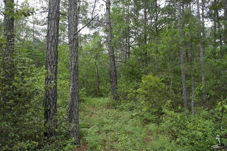 0 Exum Road Ash, NC 28420 - Photo 1 of 27 Primary Photo