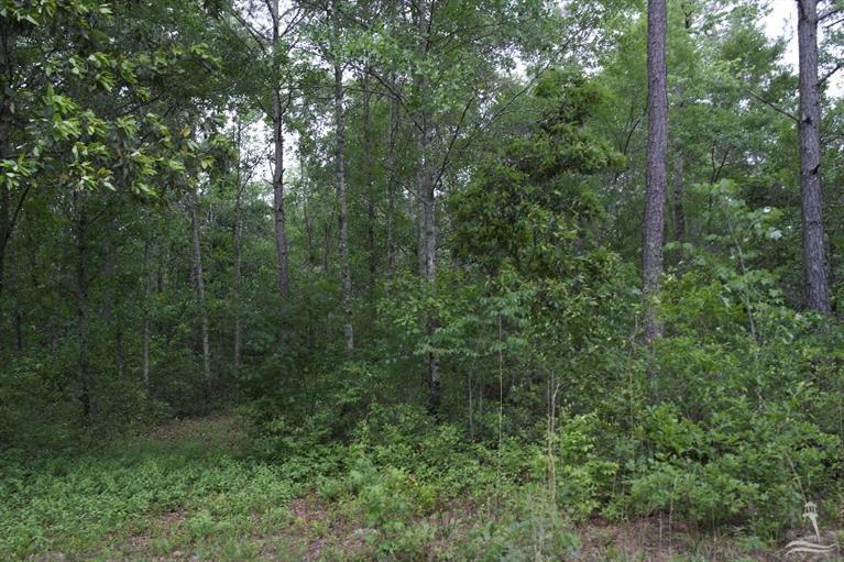 0 Exum Road Ash, NC 28420 - Photo 12 of 27 Additional Photo