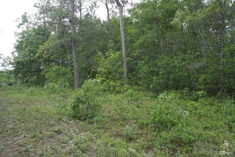 0 Exum Road Ash, NC 28420 - Photo 15 of 27 Additional Photo