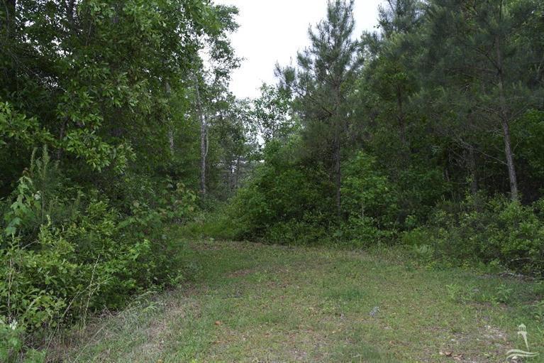 0 Exum Road Ash, NC 28420 - Photo 18 of 27 Additional Photo