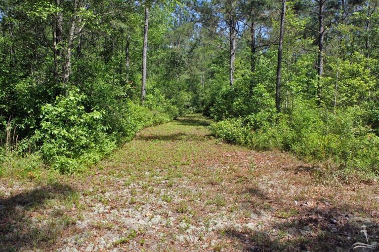 0 Exum Road Ash, NC 28420 - Photo 24 of 27 Additional Photo