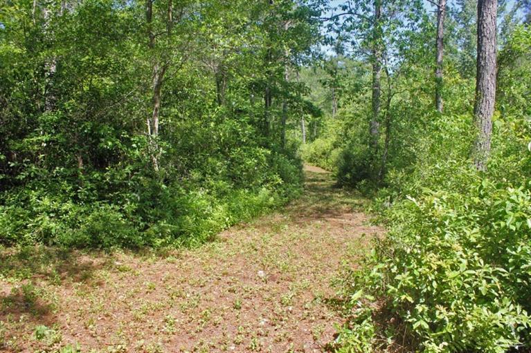 0 Exum Road Ash, NC 28420 - Photo 26 of 27 Additional Photo