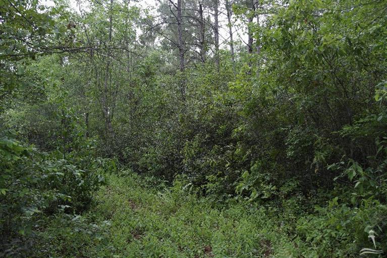 0 Exum Road Ash, NC 28420 - Photo 3 of 27 Additional Photo