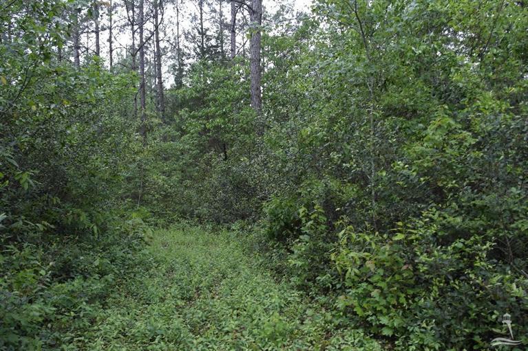 0 Exum Road Ash, NC 28420 - Photo 4 of 27 Additional Photo