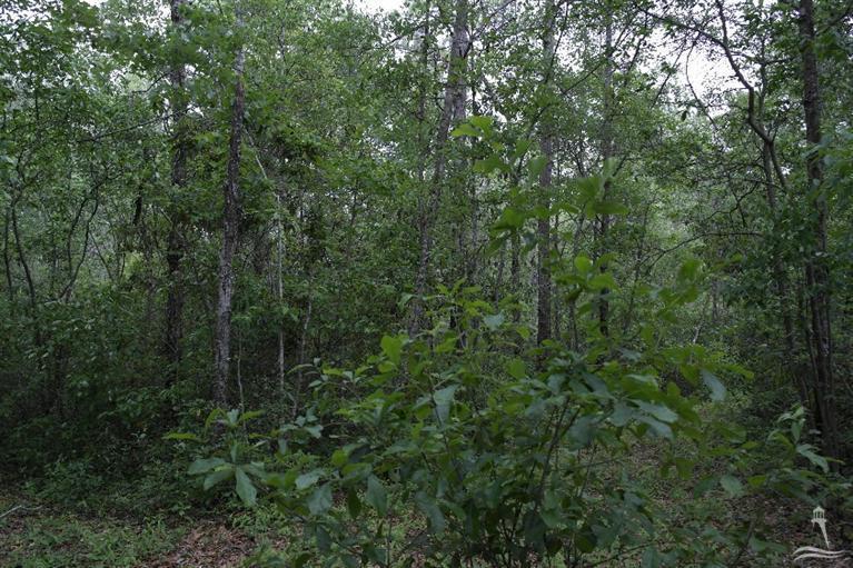 0 Exum Road Ash, NC 28420 - Photo 9 of 27 Additional Photo