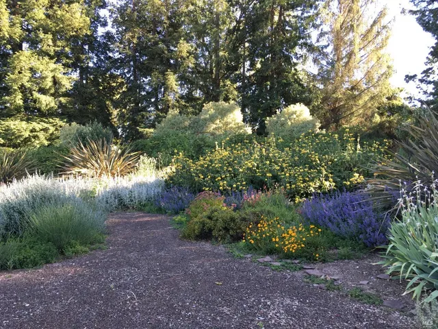 $3,485,000 | 497 Laguna Vista Road, Santa Rosa, CA 95401