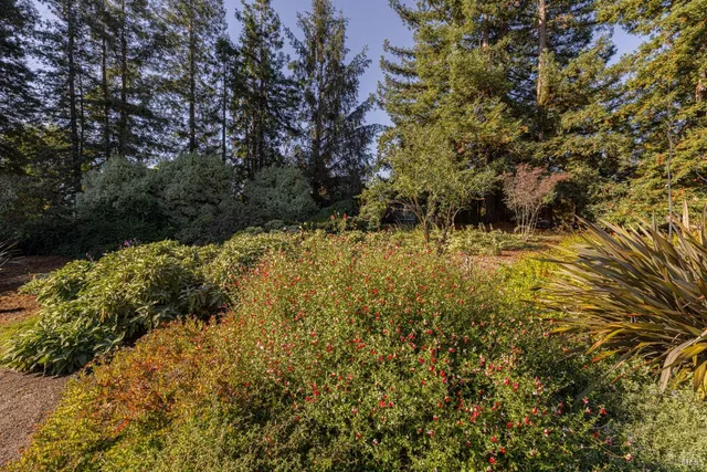 $3,485,000 | 497 Laguna Vista Road, Santa Rosa, CA 95401