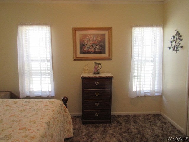29511 Friendship Road Opp, AL 36467 - Photo 3 of 42 Gallery Image 3