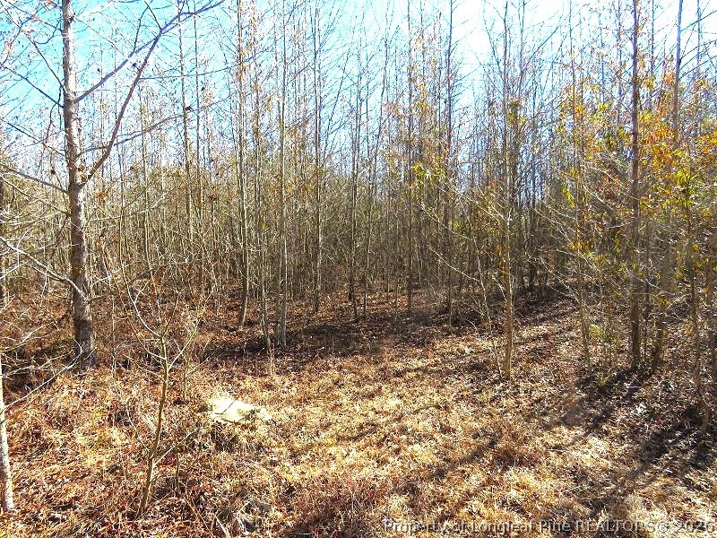 Glory Light Road Fairmont, NC 28340 - Photo 12 of 12