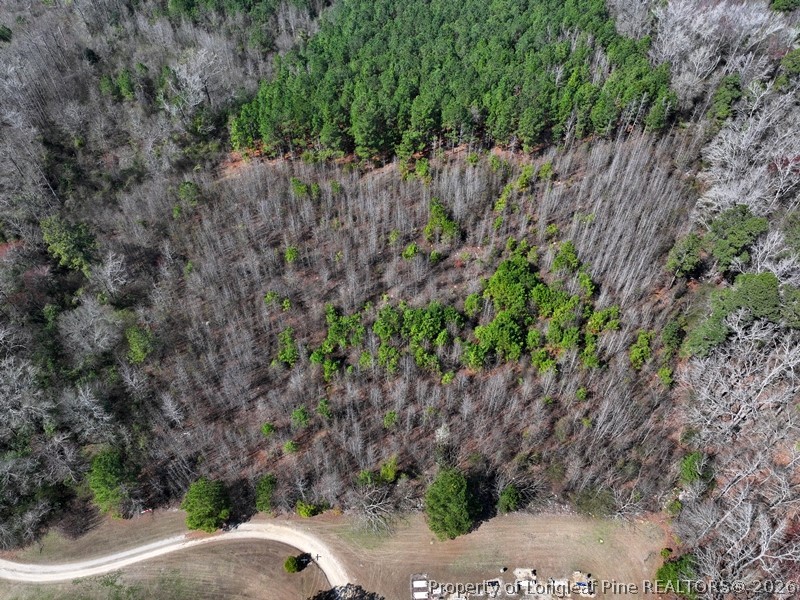 Glory Light Road Fairmont, NC 28340 - Photo 2 of 12