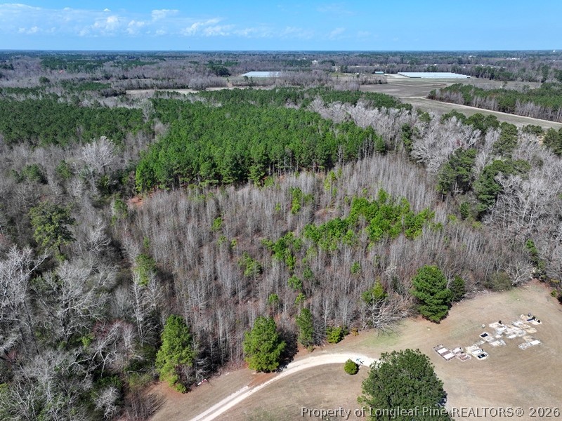 Glory Light Road Fairmont, NC 28340 - Photo 3 of 12