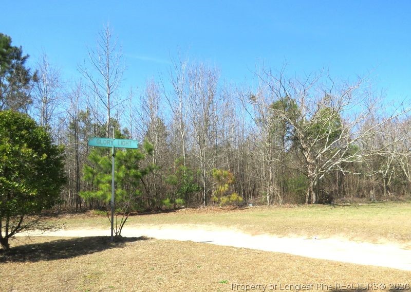 Glory Light Road Fairmont, NC 28340 - Photo 6 of 12