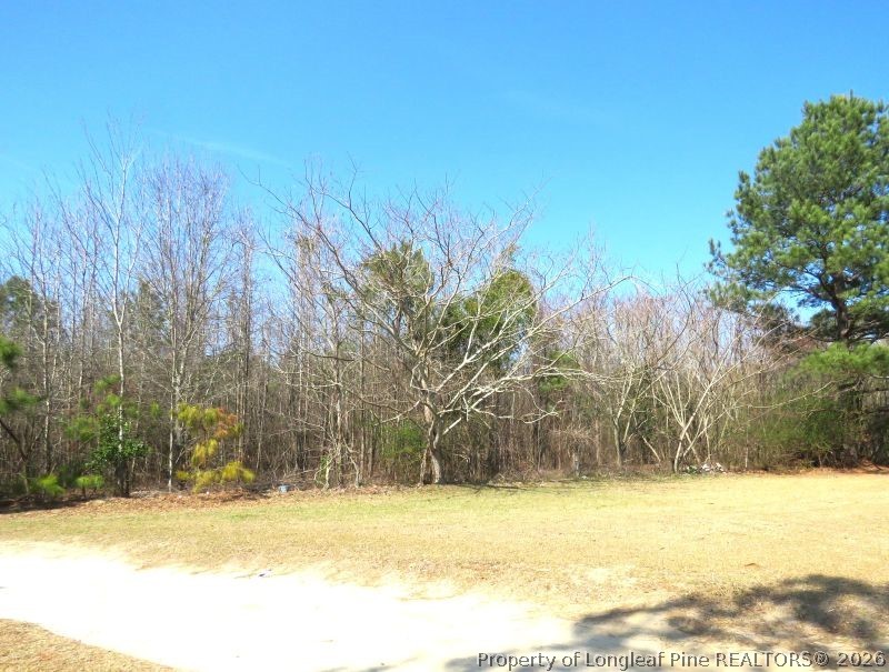 Glory Light Road Fairmont, NC 28340 - Photo 7 of 12