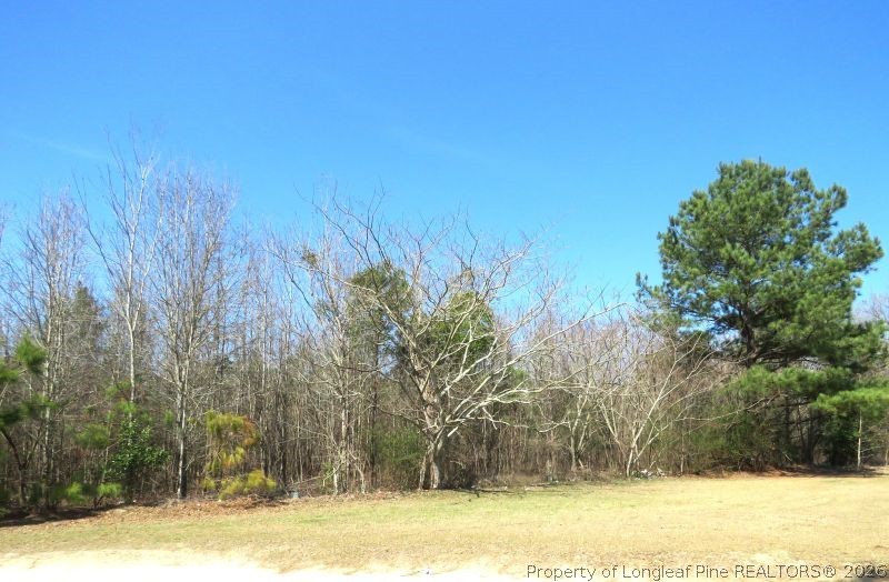 Glory Light Road Fairmont, NC 28340 - Photo 8 of 12