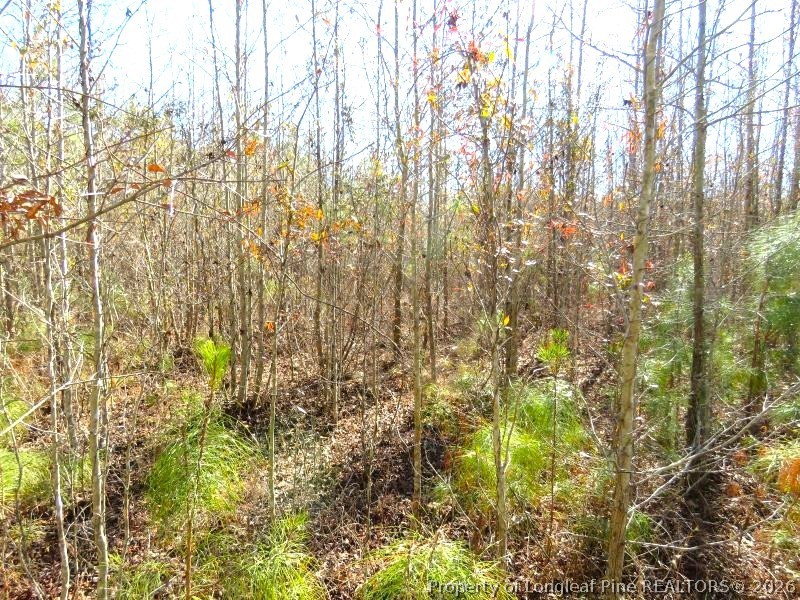 Glory Light Road Fairmont, NC 28340 - Photo 10 of 12