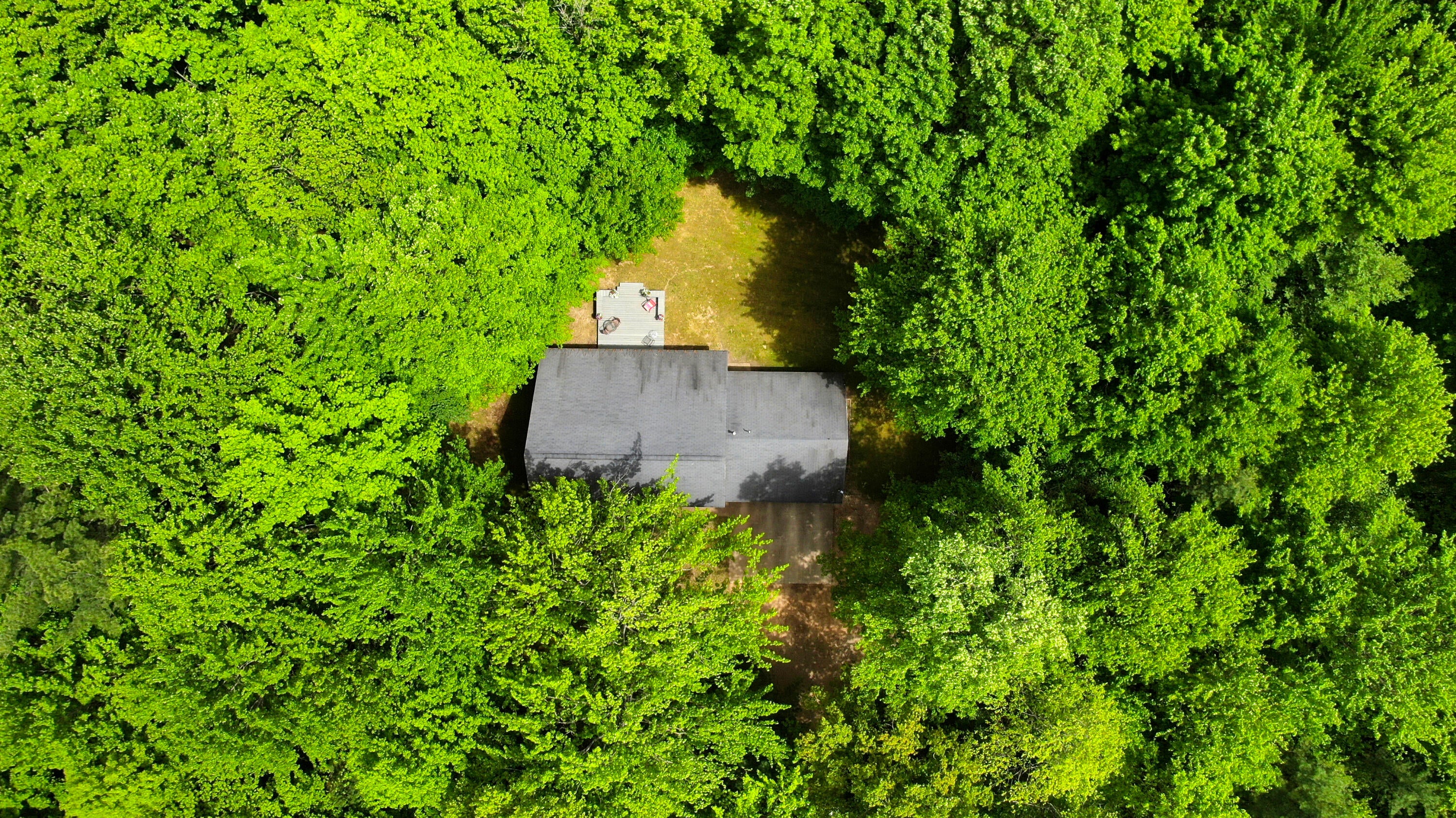 855 Murner Road Gaylord, MI 49735 - Photo 29 of 31 Gallery Image 29