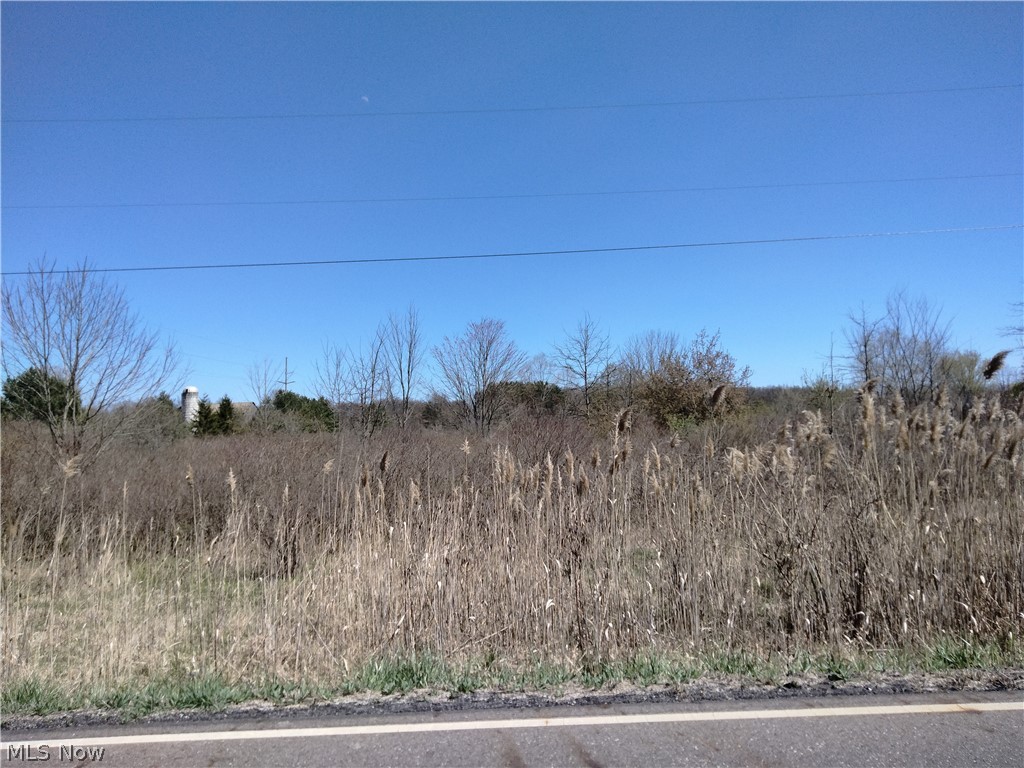 Bedell Road Berlin Center, OH 44401 - Photo 10 of 15 View of local wilderness