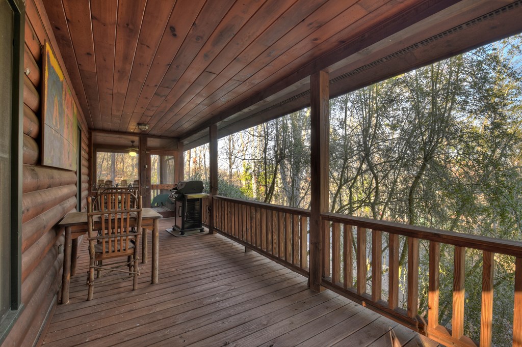 186 Lakeview Drive Blue Ridge, GA 30513 - Photo 29 of 44