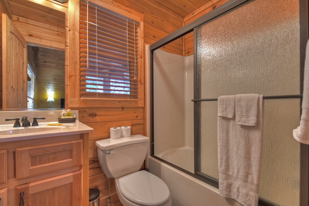 186 Lakeview Drive Blue Ridge, GA 30513 - Photo 34 of 44