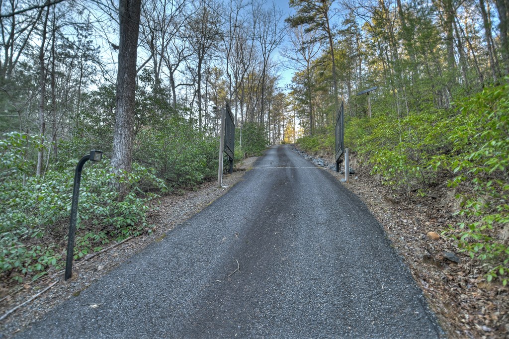 186 Lakeview Drive Blue Ridge, GA 30513 - Photo 36 of 44