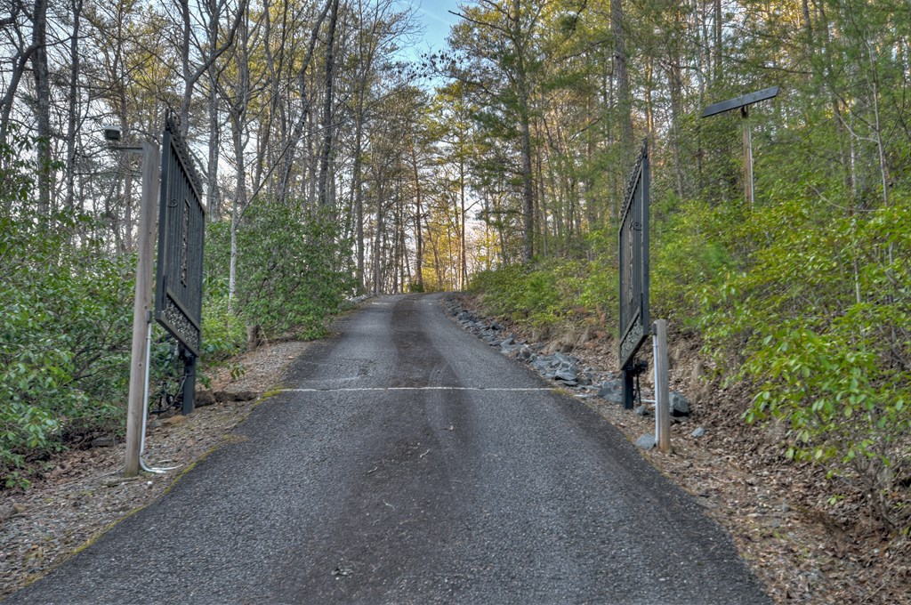 186 Lakeview Drive Blue Ridge, GA 30513 - Photo 37 of 44