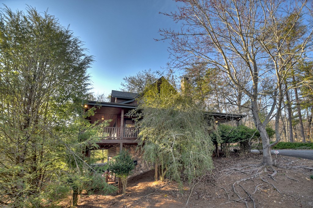 186 Lakeview Drive Blue Ridge, GA 30513 - Photo 38 of 44