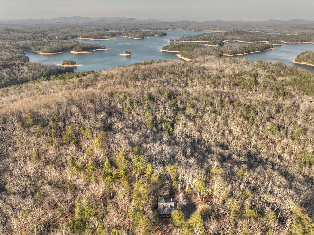 186 Lakeview Drive Blue Ridge, GA 30513 - Photo 39 of 44