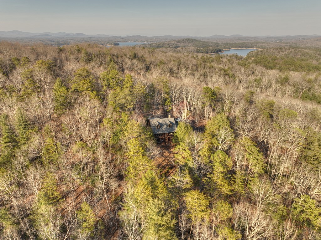 186 Lakeview Drive Blue Ridge, GA 30513 - Photo 40 of 44