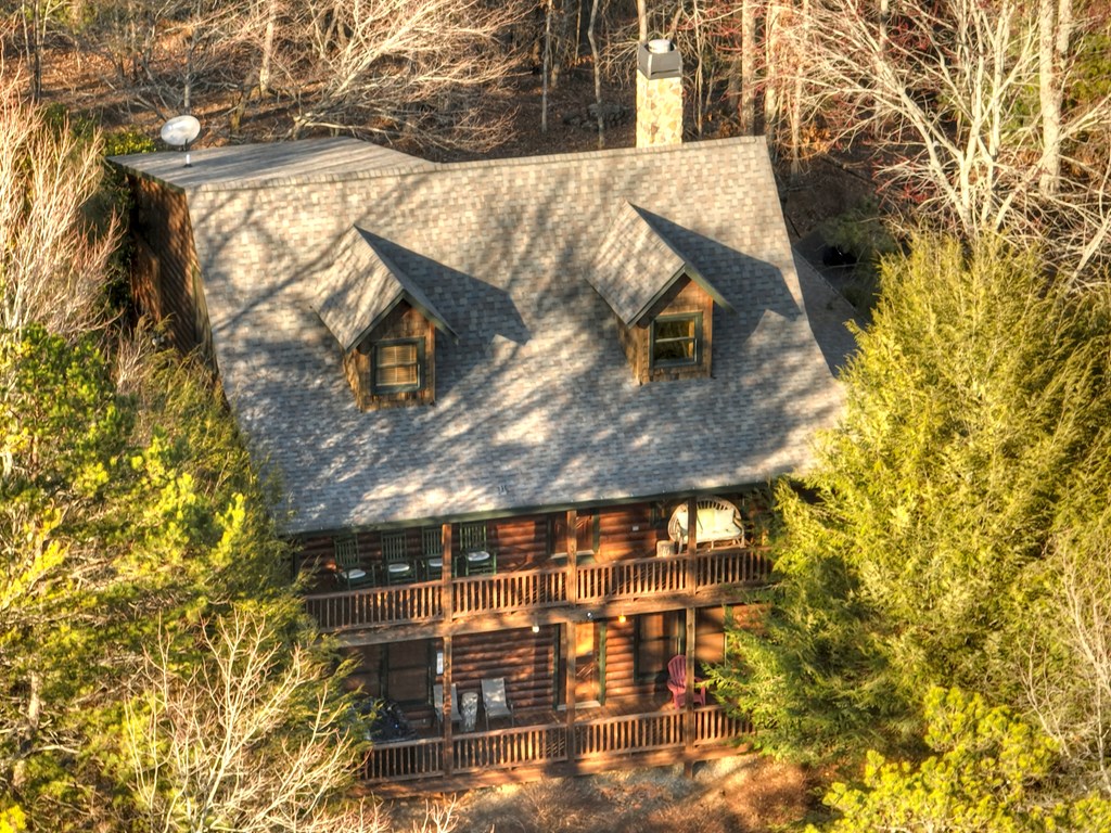 186 Lakeview Drive Blue Ridge, GA 30513 - Photo 41 of 44