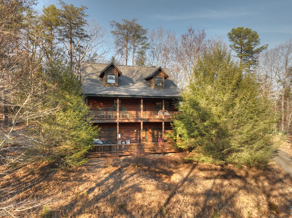 186 Lakeview Drive Blue Ridge, GA 30513 - Photo 42 of 44