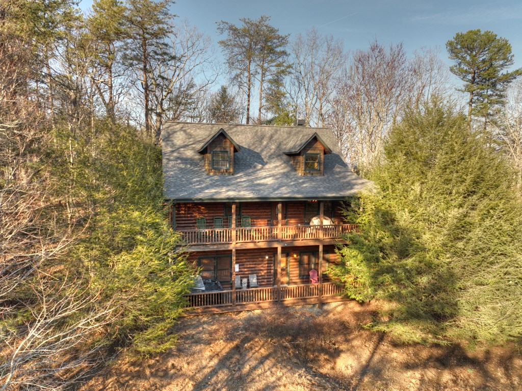 186 Lakeview Drive Blue Ridge, GA 30513 - Photo 43 of 44