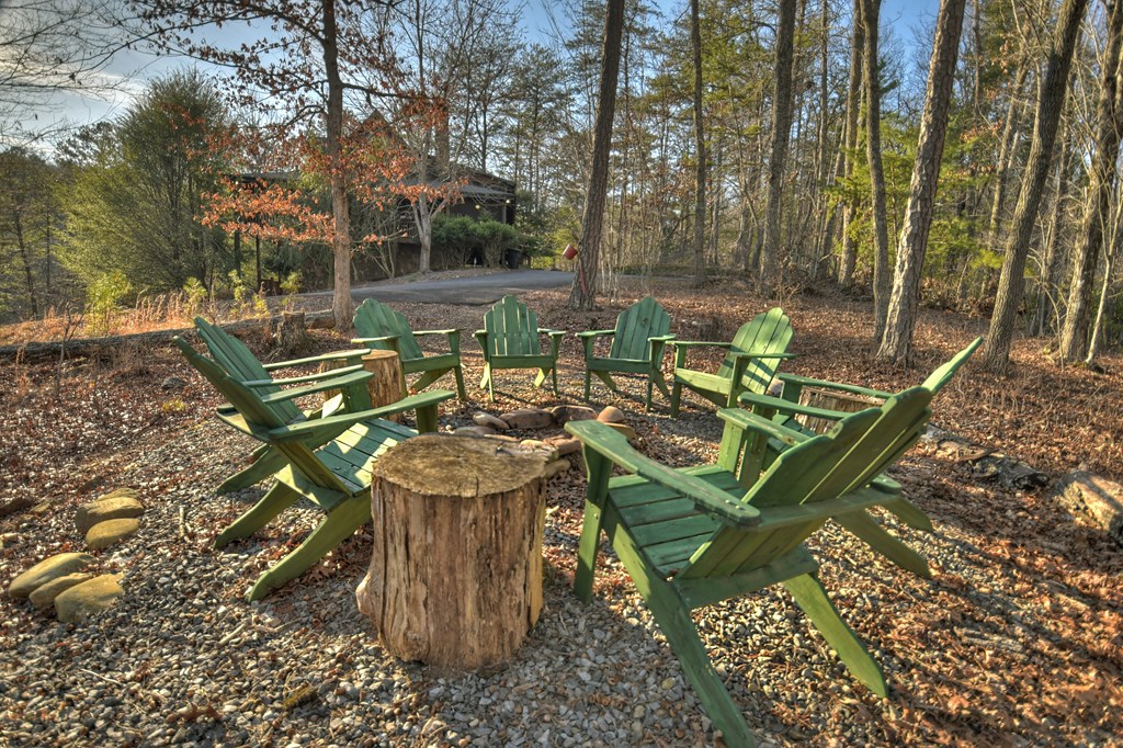 186 Lakeview Drive Blue Ridge, GA 30513 - Photo 7 of 44