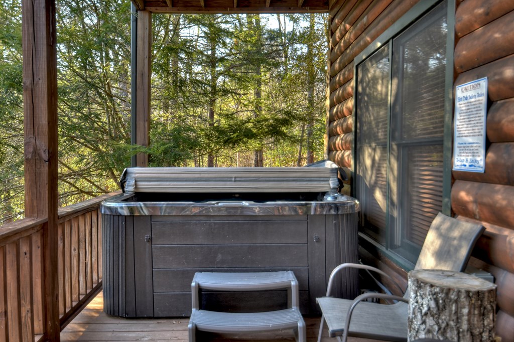 186 Lakeview Drive Blue Ridge, GA 30513 - Photo 9 of 44