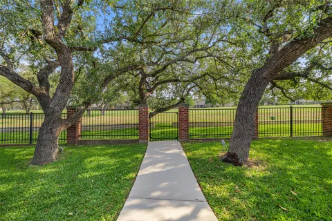a park with large trees