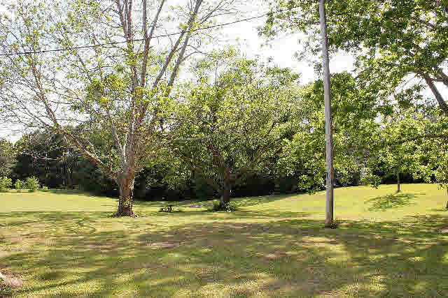 12836 Anna's Way Stapleton, AL 36578 - Photo 26 of 43 Back Door View
