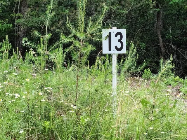 $33,252 | Lot 13 Belle Isle Drive, Union Hall, VA 24176