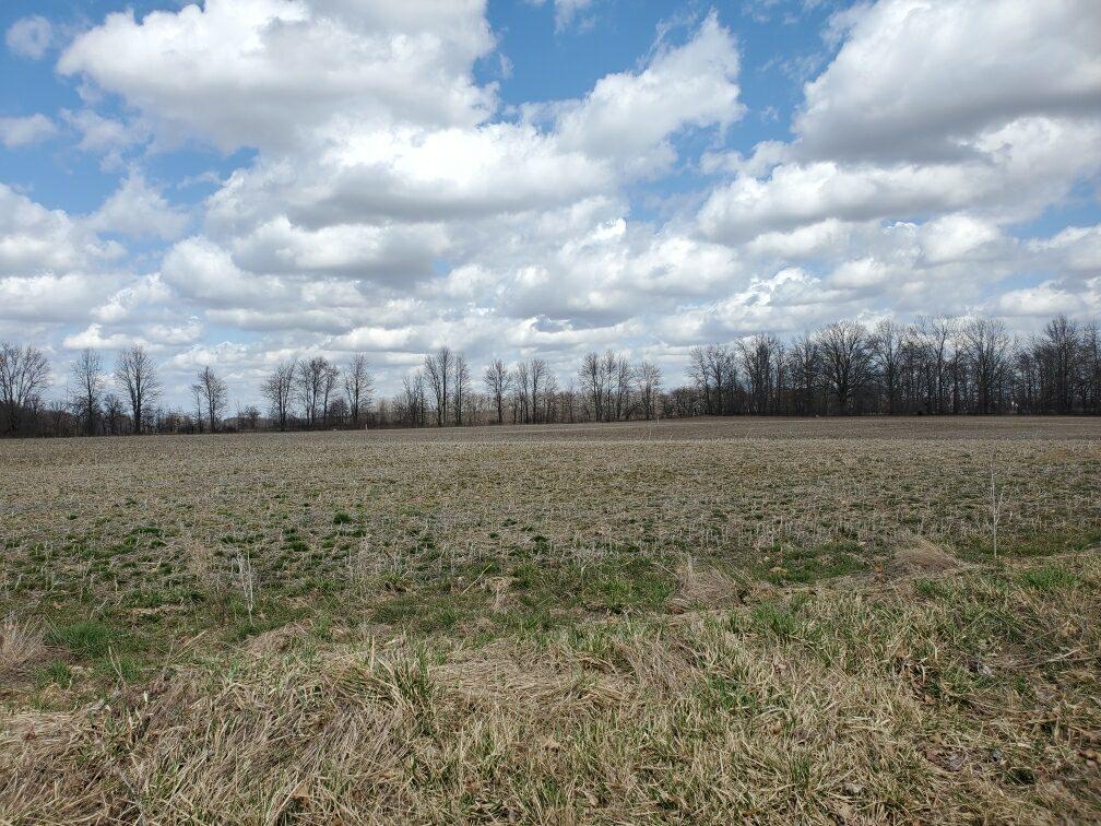 0 County 124 Road, Unit TRACT 3 Cardington, OH 43315 - Photo 5 of 10 0790CE5C-6000-4321-9914-64DAE8003F07