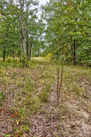 $59,900 | 26049 Ivy Bend Road, Stover, MO 65078