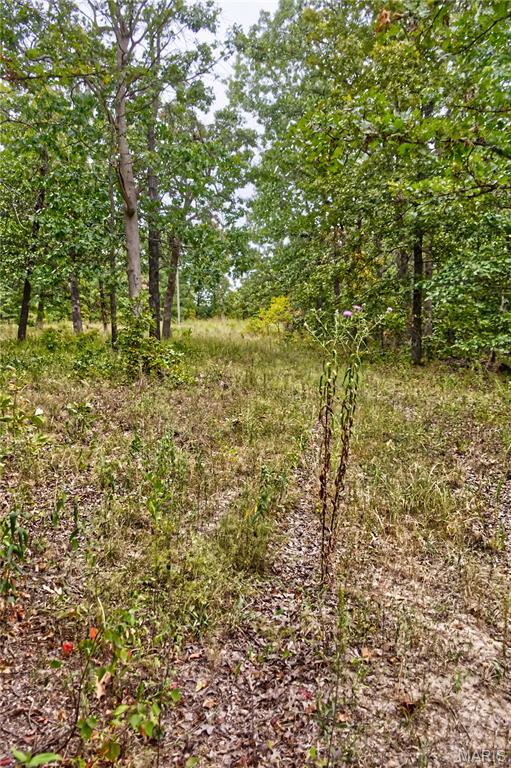 26049 Ivy Bend Road Stover, MO 65078 - Photo 13 of 41