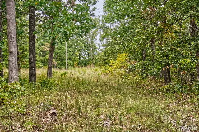 $59,900 | 26049 Ivy Bend Road, Stover, MO 65078