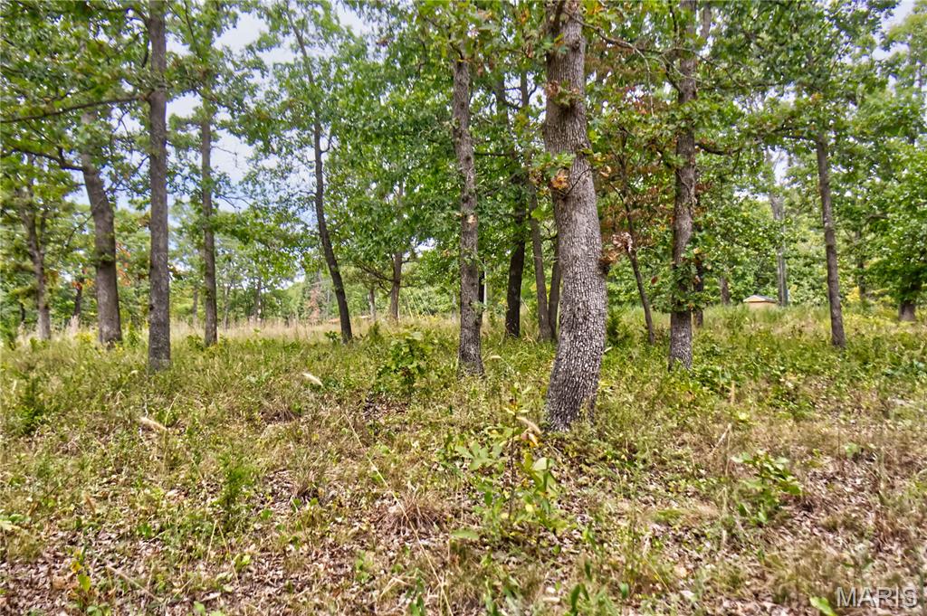 26049 Ivy Bend Road Stover, MO 65078 - Photo 16 of 41