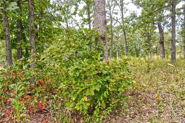 $59,900 | 26049 Ivy Bend Road, Stover, MO 65078