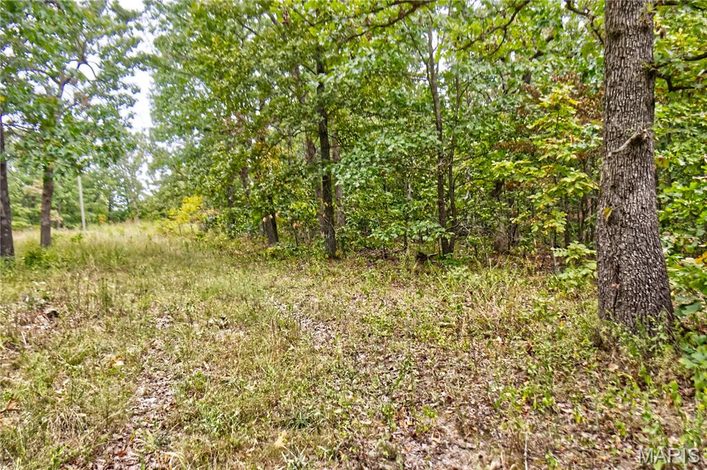 26049 Ivy Bend Road Stover, MO 65078 - Photo 18 of 41