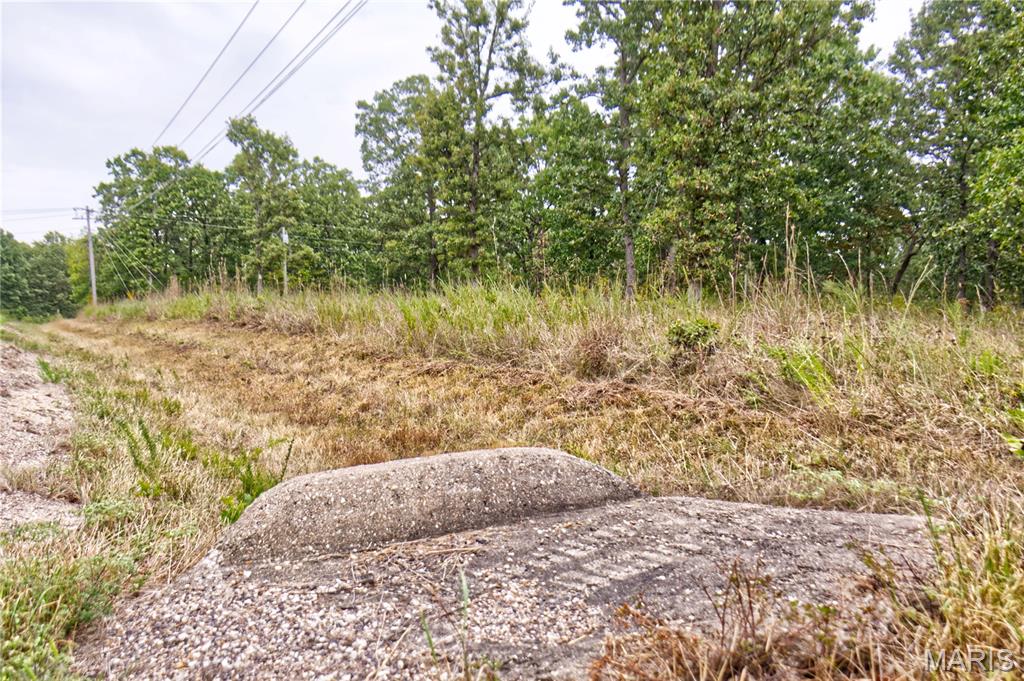 26049 Ivy Bend Road Stover, MO 65078 - Photo 21 of 41